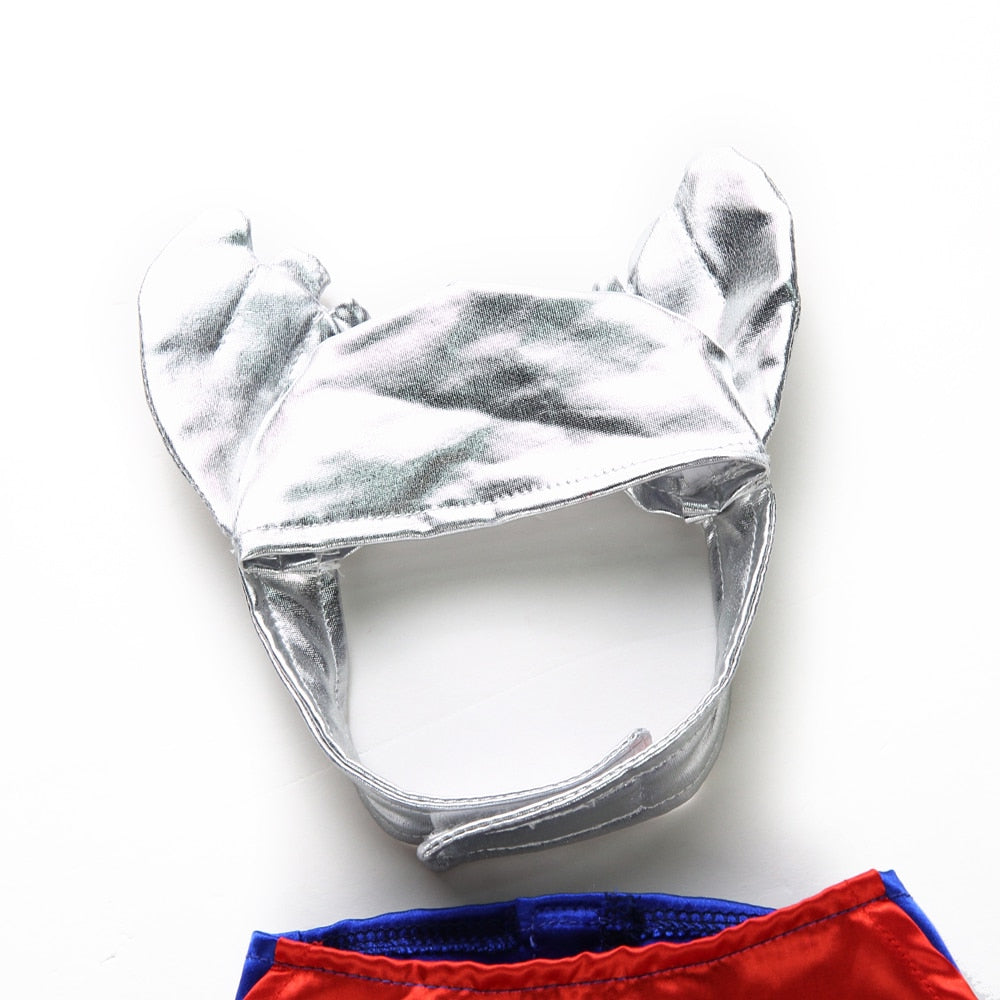 Themed Dog Costume Outfit