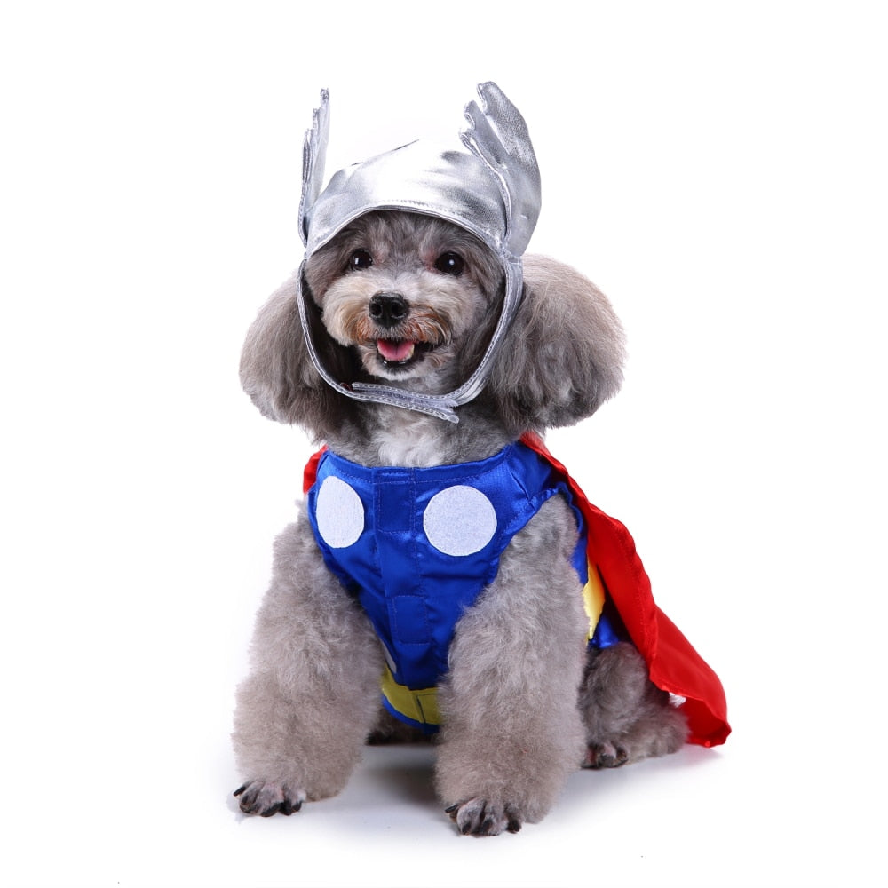 Themed Dog Costume Outfit