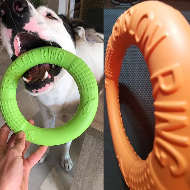 Durable Dog Toys for Interactive Training and Outdoor Fun