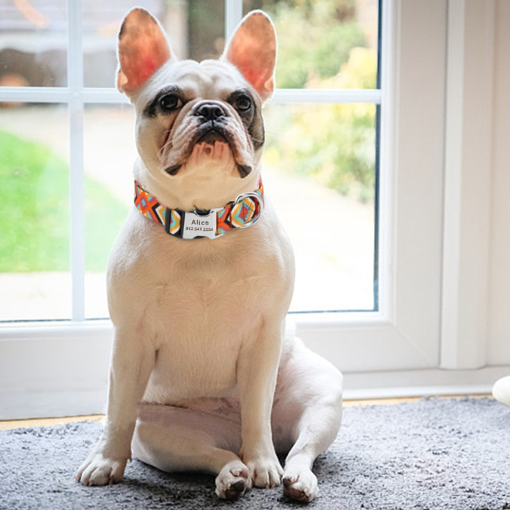 Fashion Custom Dog Collar