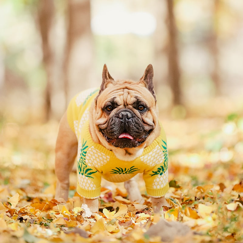 OMG a Pineapple Sweater!