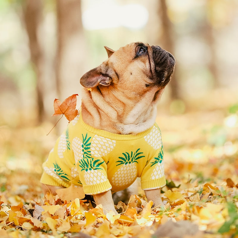 OMG a Pineapple Sweater!