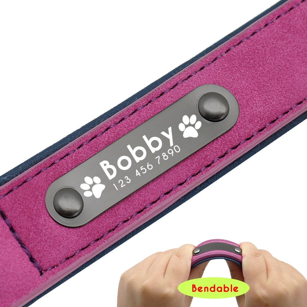 Style and Safety Collar for Your Furry Friend