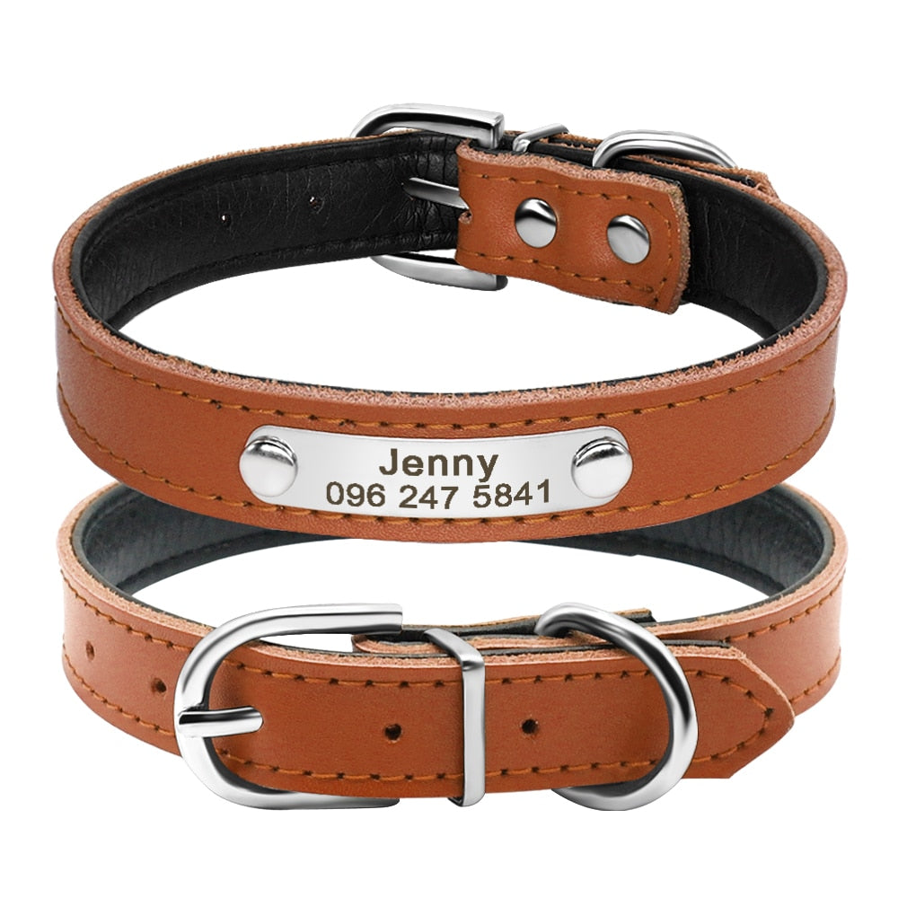 Leather Dog Collar with Inner Padding and Engraved Nameplate ID Tag!