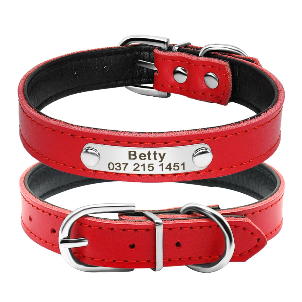 Leather Dog Collar with Inner Padding and Engraved Nameplate ID Tag!