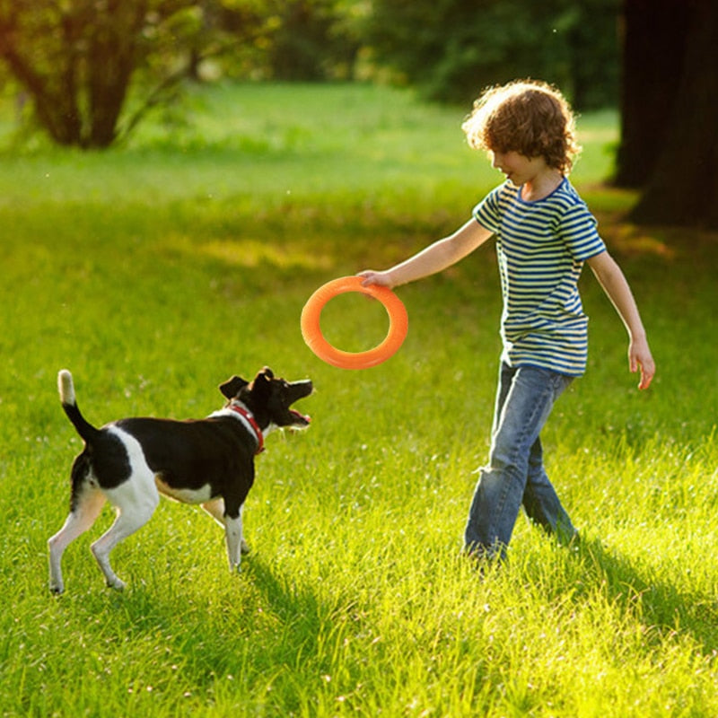 Durable Dog Toys for Interactive Training and Outdoor Fun
