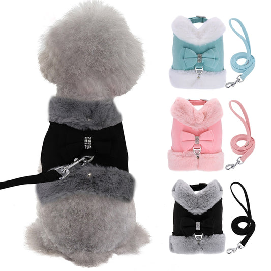 Dog Harness Vest and Leash Set