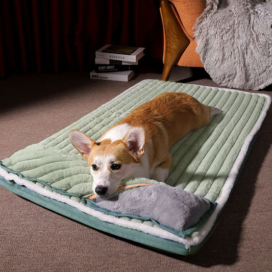 Calming Dog Beds