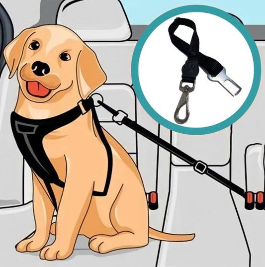 Comfortable pet seatbelt